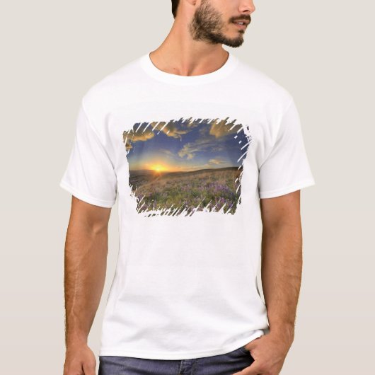 Zonsondergang over de Bitterroot Mountains en uitg T-shirt (Voorkant)