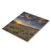 Zonsondergang over de Bitterroot Mountains en uitg Tegeltje (Zijkant)