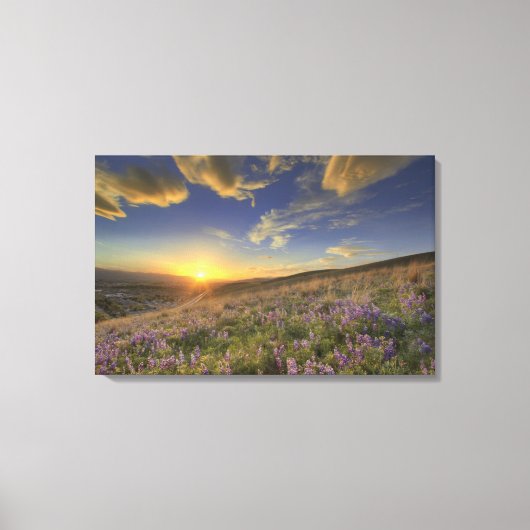 Zonsondergang over de Bitterroot Mountains en wijd Canvas Afdruk (Voorkant)