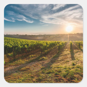 Zonsondergang over de Boerderijen Sticker