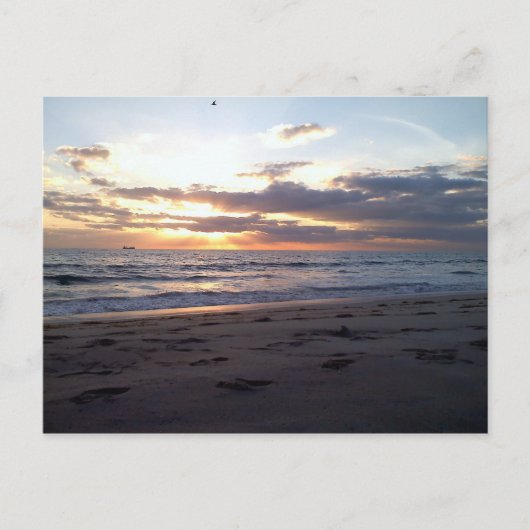 Zonsondergang over de Golf van Florida  Briefkaart (Voorkant)