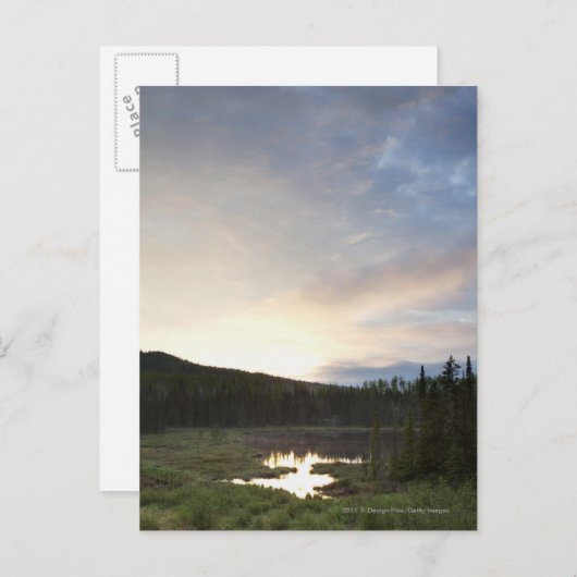 Zonsondergang over een Nevelige Vijver Briefkaart (Voorkant / Achterkant)