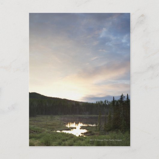 Zonsondergang over een Nevelige Vijver Briefkaart (Voorkant)