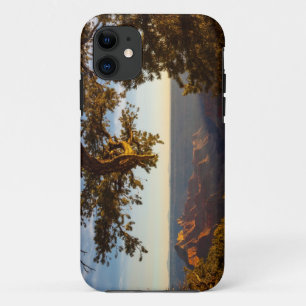 Zonsondergang over Grand Canyon Case-Mate iPhone Case