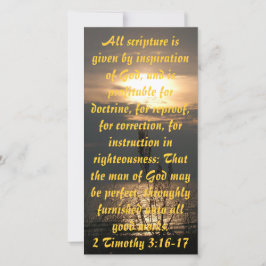 Zonsondergang over het Michiganmeer print of Bijbe