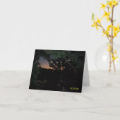 Zonsondergang over meer in BosMeer, Minnesota Kaart (Gele Bloem)