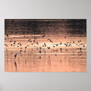Zonsondergang Poster