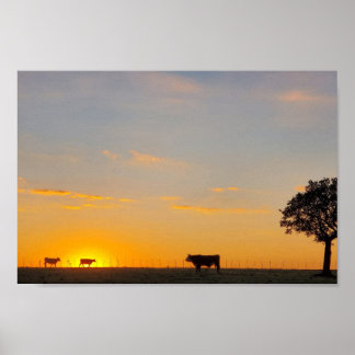Zonsondergang Silhouette Poster