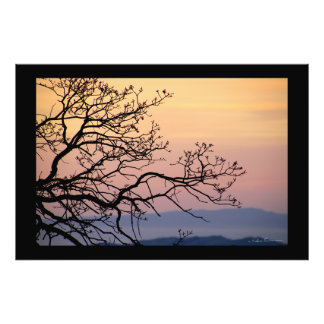 Zonsondergang Takken Silhouet door Sidharta Pascua Foto Afdruk