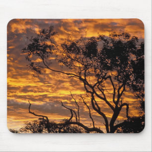Zonsondergang, Uluru-Kata Tjuta National Park, Muismat