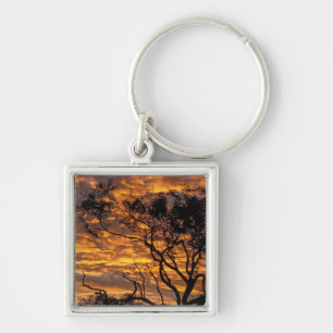 Zonsondergang, Uluru-Kata Tjuta National Park, Sleutelhanger