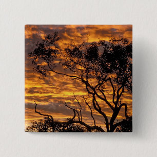 Zonsondergang, Uluru-Kata Tjuta National Park, Vierkante Button 5,1 Cm