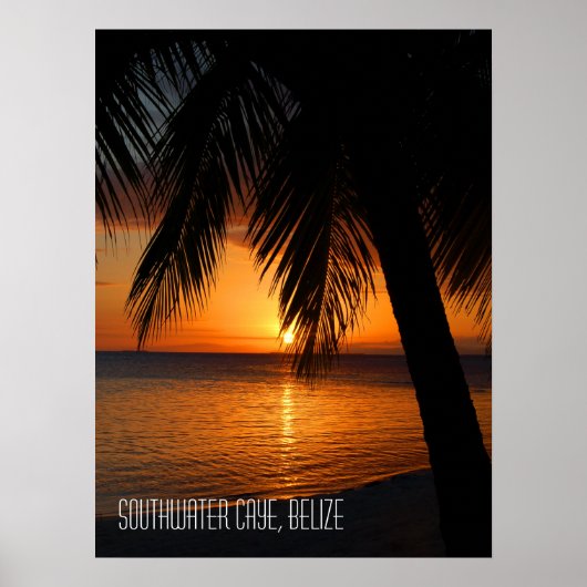 Zonsondergang van tropische palmbomen in Belize Poster (Voorkant)
