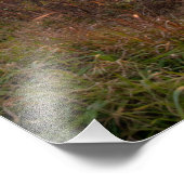 Zonsondergang vanaf Shenandoah National Park Foto Afdruk (Hoek)