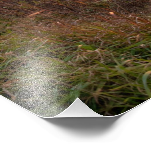 Zonsondergang vanaf Shenandoah National Park Foto Afdruk (Hoek)