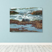 Zonsondergang verlichte zeehond I bij San Diego Canvas Afdruk (Insitu (Houten vloer))