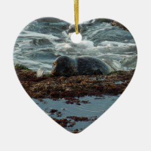 Zonsondergang verlichte zeehond I bij San Diego Keramisch Ornament