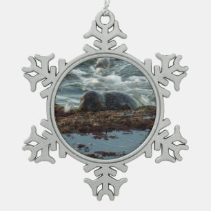 Zonsondergang verlichte zeehond I bij San Diego Tin Sneeuwvlok Ornament