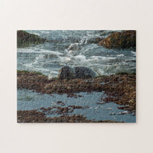 Zonsondergang verlichte zeehond I in San Diego Legpuzzel