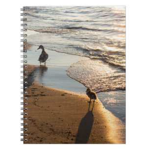Zonsondergang Wandelen Met Mama Notitieboek