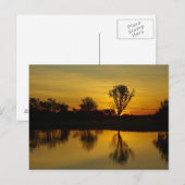 Zonsondergang, Yellow Water Billabong Briefkaart (Voorkant / Achterkant)