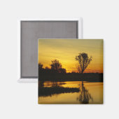Zonsondergang, Yellow Water Billabong Magneet (Voorkant / Achterkant)