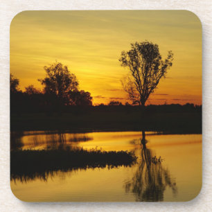 Zonsondergang, Yellow Water Billabong Onderzetter