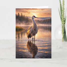 Zonsondergang Zandheuvel Kraan Reflectief Waterbee Kaart