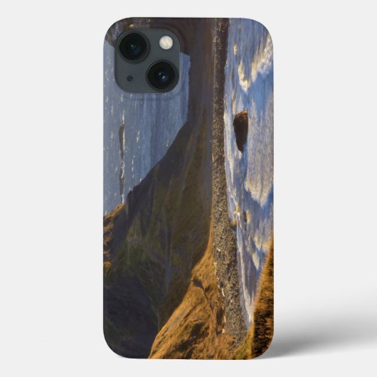 Zonsondergang, Zee Stapel, Sisters, Oregon Kust Case-Mate iPhone Case (Achterkant)