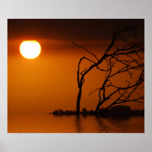 zonsondergang zon silhouet Poster