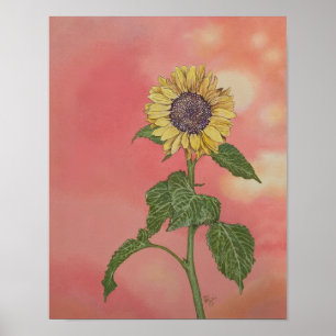 Zonsondergang Zonnebloem Poster