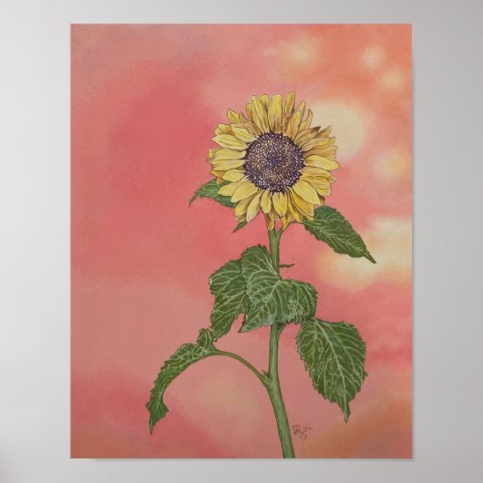 Zonsondergang Zonnebloem Poster (Voorkant)
