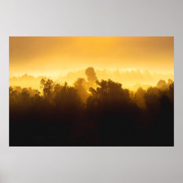 Zonsopgang achter nevelige bomen poster
