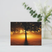 Zonsopgang, boomsilhouet, briefkaart (Staand voorkant)