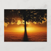 Zonsopgang, boomsilhouet, briefkaart (Voorkant)