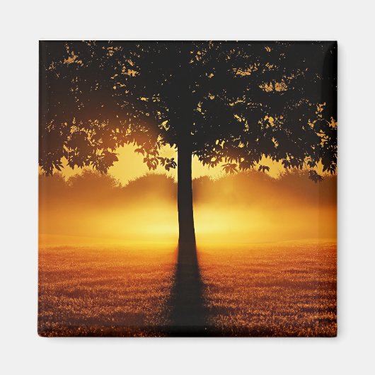Zonsopgang, boomsilhouet, magneet (Voorkant)