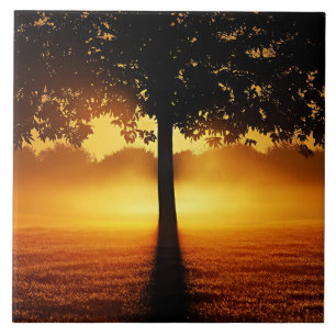 Zonsopgang, boomsilhouet, tegeltje