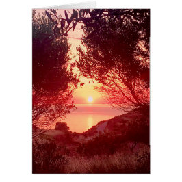 Zonsopgang boven de zee omlijst door bomen