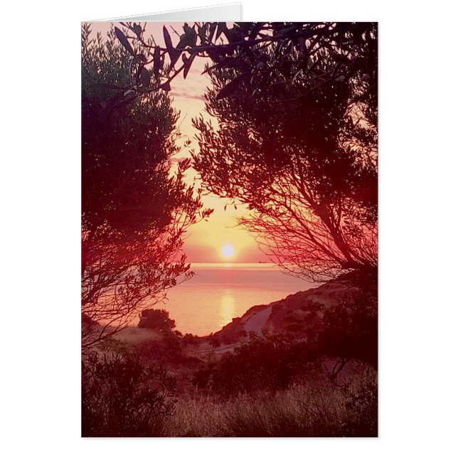 Zonsopgang boven de zee omlijst door bomen (Voorkant)
