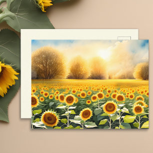 Zonsopgang boven een veld zonnebloemen ansichtkaar briefkaart