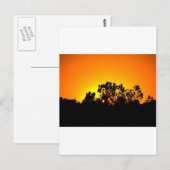Zonsopgang Briefkaart (Voorkant / Achterkant)