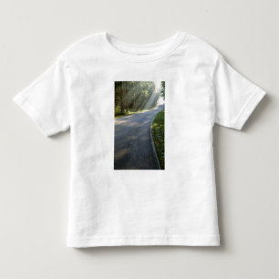 Zonsopgang door mist langs Green River Kinder Shirts