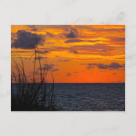 Zonsopgang, Fort Pierce, Florida Briefkaart