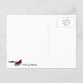 Zonsopgang in de Smoky Mountains Briefkaart (Achterkant)