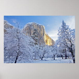 Zonsopgang licht schijnt op El Capitan door besnee Poster