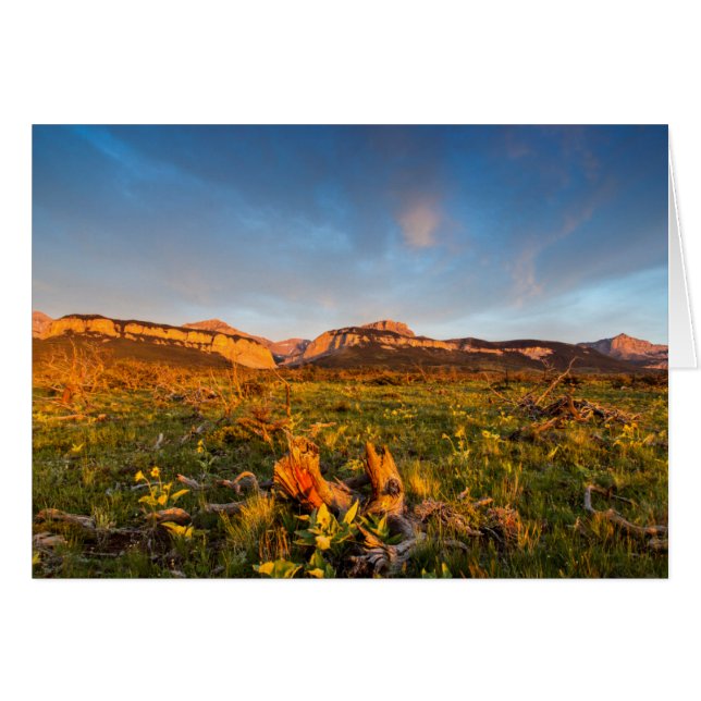 Zonsopgang Lichten Blackleaf Canyon 2 (Voorkant Horizontaal)