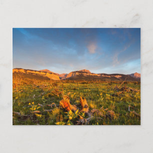 Zonsopgang Lichten Blackleaf Canyon 2 Briefkaart