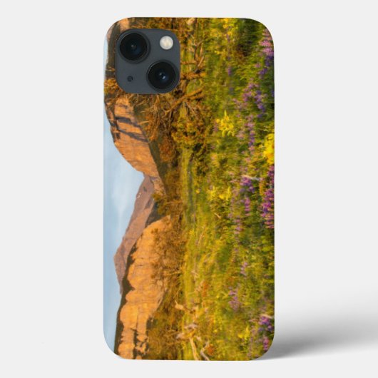 Zonsopgang Lichten Blackleaf Canyon Case-Mate iPhone Case (Achterkant)