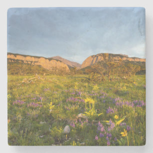 Zonsopgang Lichten Blackleaf Canyon Stenen Onderzetter