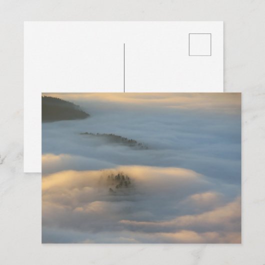 Zonsopgang mist in de bergen van Pieniny Briefkaart (Voorkant / Achterkant)